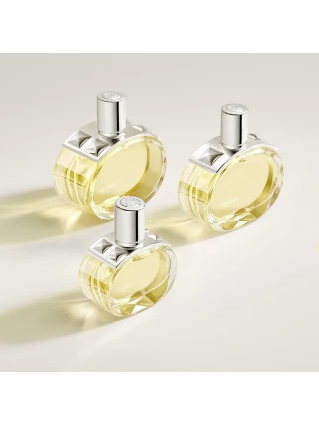 Hermes Hermès Barénia EdP 100ml