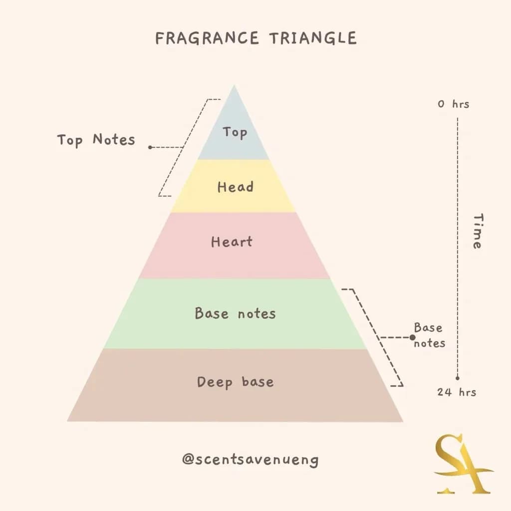 Fragrance Triangle/ Pyramid - Scents Avenue NG